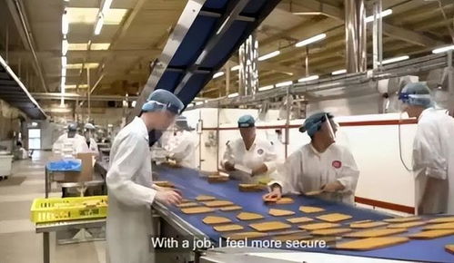 从“宁要饭不回国”到英国现实 一位香港女教师的移民之路与启示